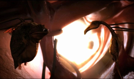 zerebrale dichotomie screenshot